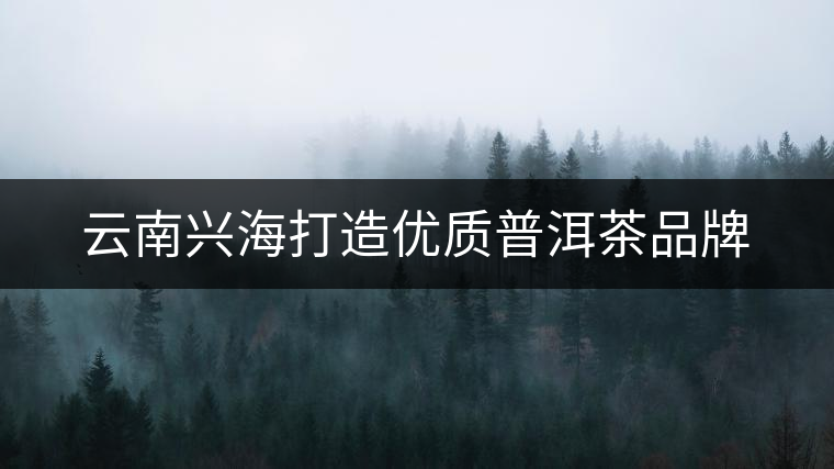 云南興海打造優(yōu)質(zhì)普洱茶品牌 云南興海打造優(yōu)質(zhì)普洱茶品牌