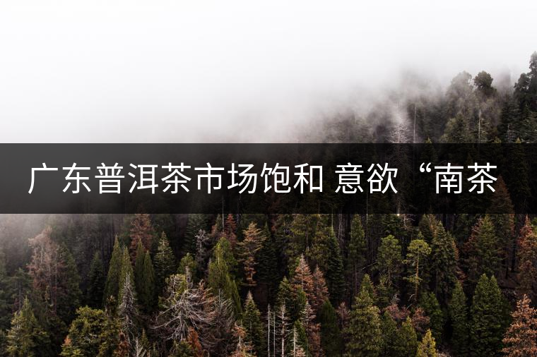 廣東普洱茶市場飽和 意欲“南茶北銷” 廣東普洱茶市場飽和 意欲“南茶北銷”