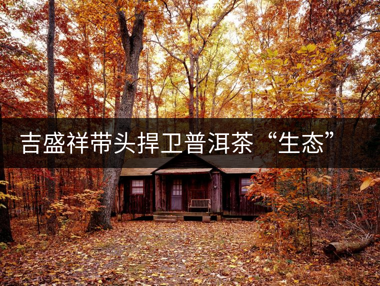 吉盛祥帶頭捍衛(wèi)普洱茶“生態(tài)”坐標(biāo)