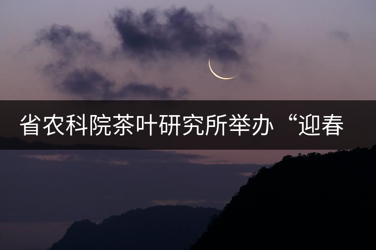 省農(nóng)科院茶葉研究所舉辦“迎春節(jié)、慶元旦”籃球聯(lián)誼賽