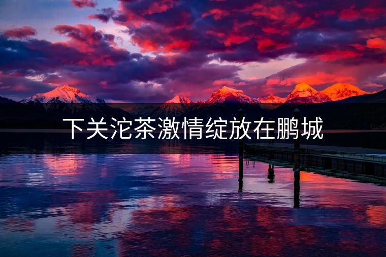 下關沱茶激情綻放在鵬城 下關沱茶激情綻放在鵬城