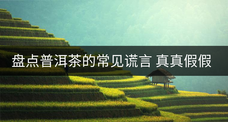 盤點(diǎn)普洱茶的常見(jiàn)謊言 真真假假 看看你認(rèn)可幾條？