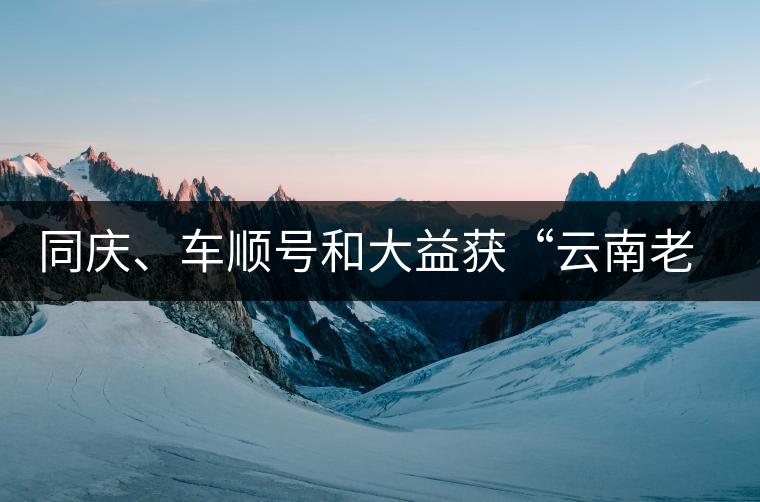 同慶、車順號和大益獲“云南老字號”稱號