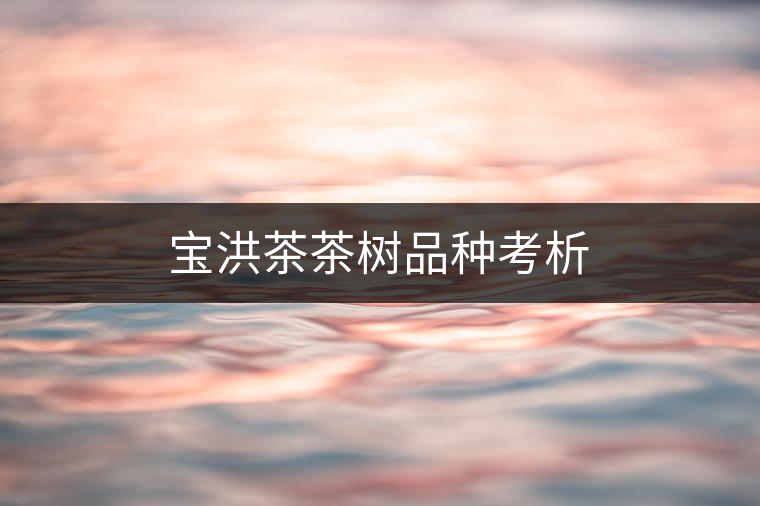 寶洪茶茶樹(shù)品種考析