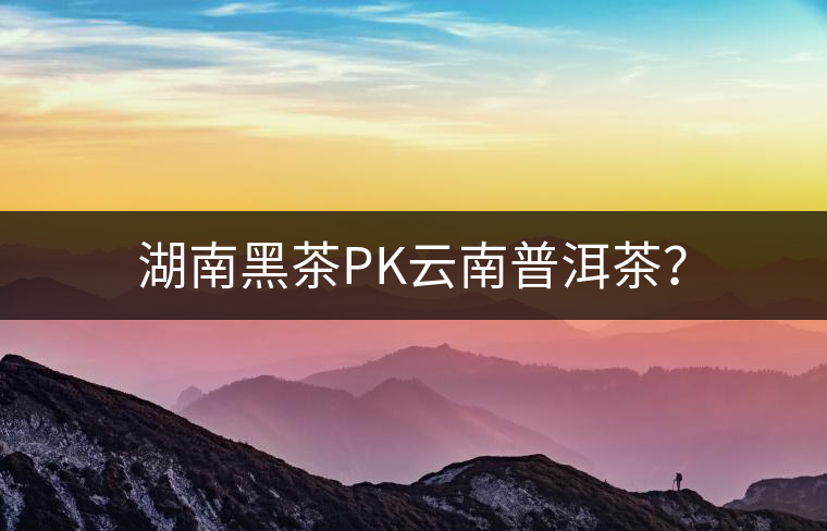 湖南黑茶PK云南普洱茶？