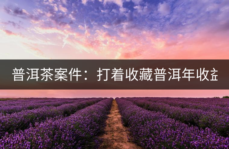 普洱茶案件：打著收藏普洱年收益不低于16%，非法吸收公眾存款