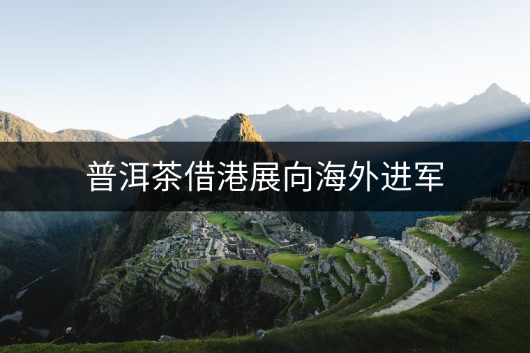普洱茶借港展向海外進(jìn)軍