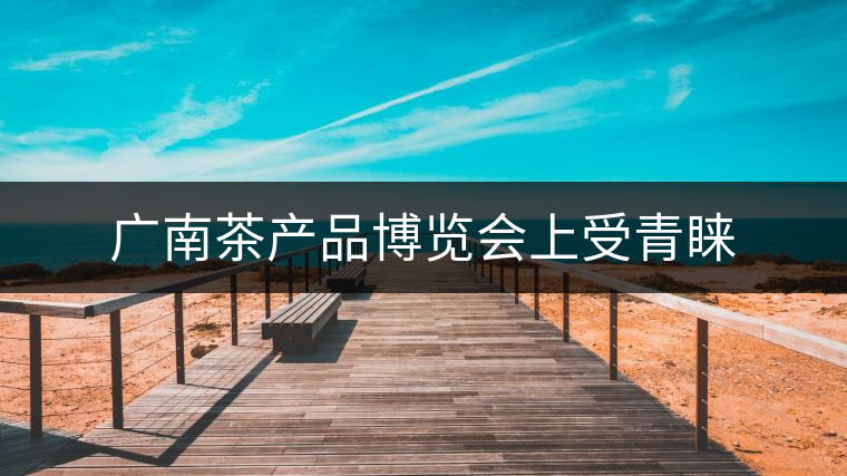 廣南茶產(chǎn)品博覽會上受青睞 廣南茶產(chǎn)品博覽會上受青睞