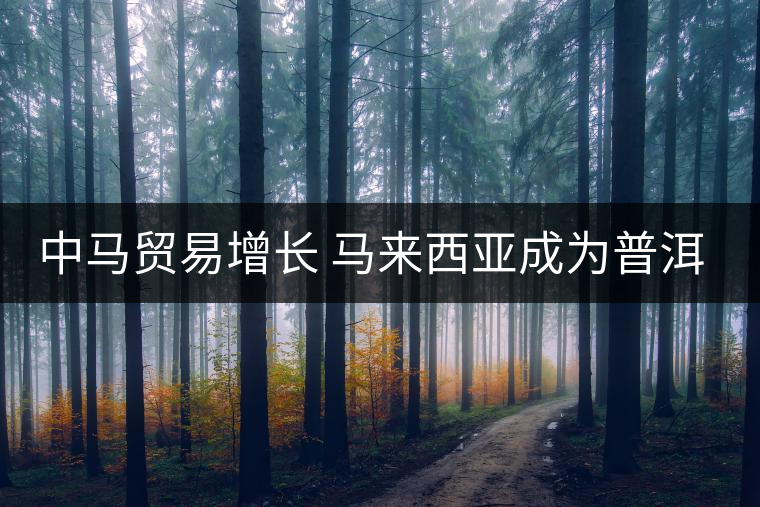 中馬貿(mào)易增長(zhǎng) 馬來西亞成為普洱茶主要出口國