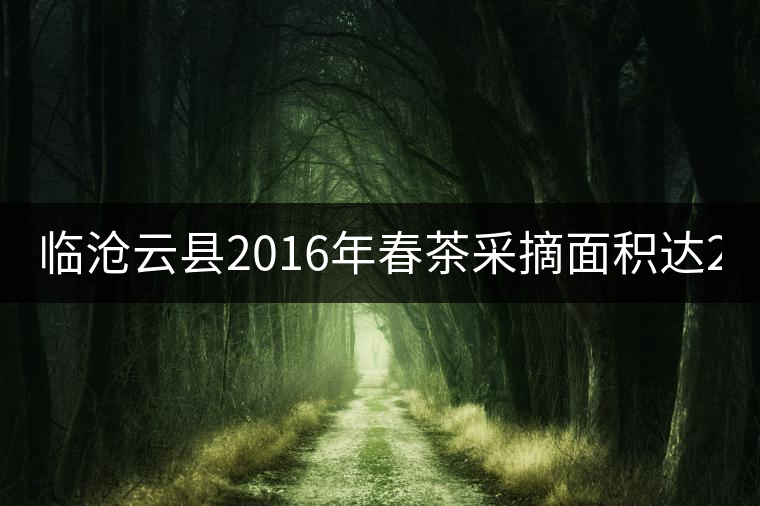 臨滄云縣2016年春茶采摘面積達(dá)202605畝，同比增長3.28%