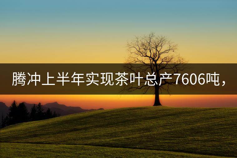 騰沖上半年實(shí)現(xiàn)茶葉總產(chǎn)7606噸，總產(chǎn)值5.58億元