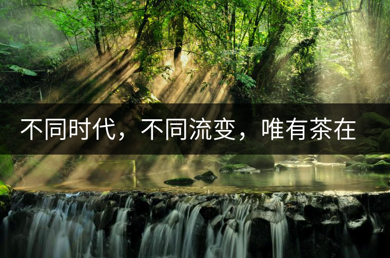 不同時代，不同流變，唯有茶在傳承