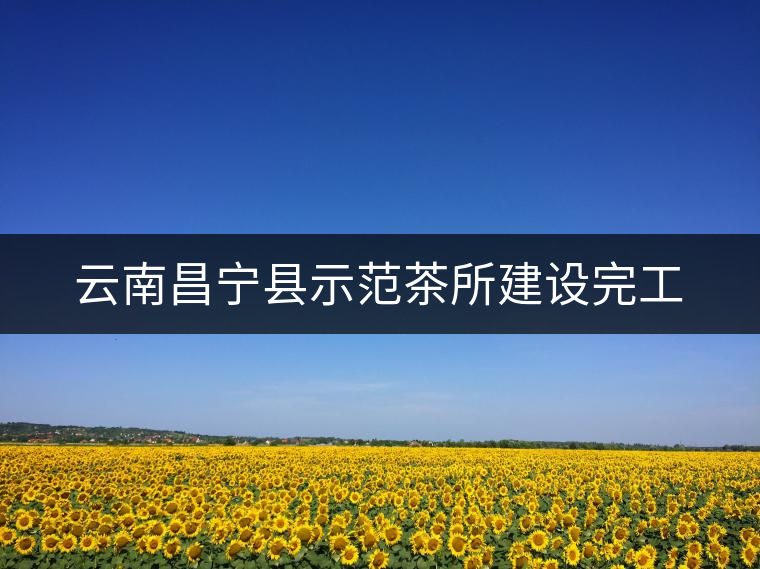 云南昌寧縣示范茶所建設(shè)完工 云南昌寧縣示范茶所建設(shè)完工