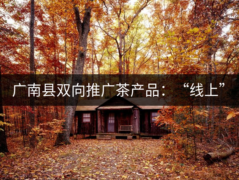 廣南縣雙向推廣茶產(chǎn)品：“線上”銷售茶葉已有100多家，“線下”銷售額已達百萬