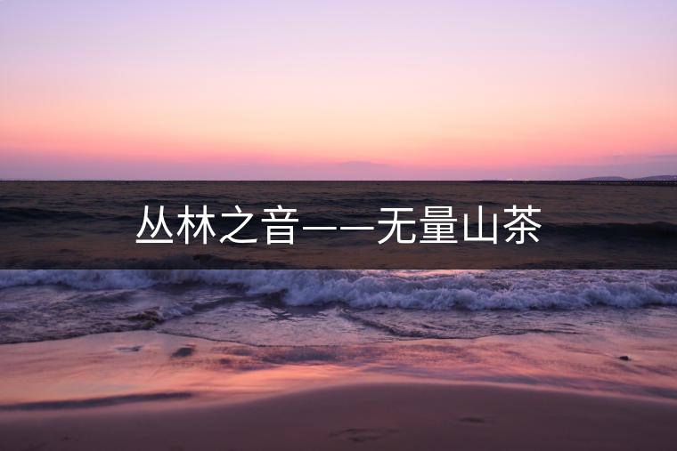 叢林之音——無量山茶