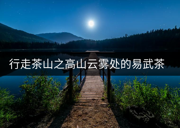 行走茶山之高山云霧處的易武茶園村寨