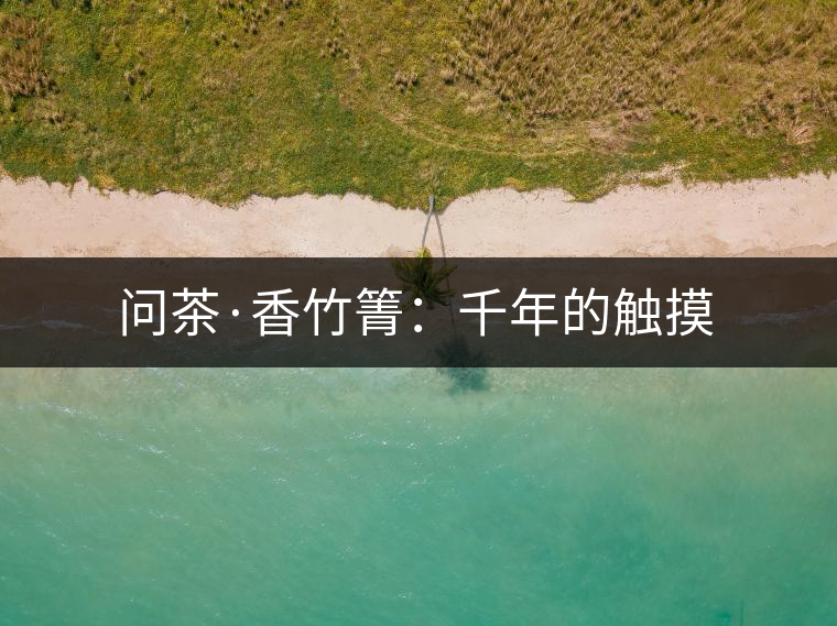 問茶·香竹箐:千年的觸摸 問茶·香竹箐:千年的觸摸