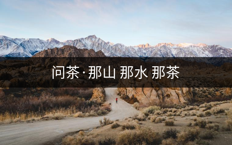 問茶·那山 那水 那茶