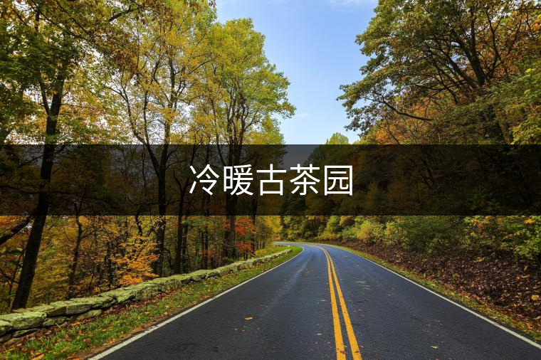 冷暖古茶園 冷暖古茶園