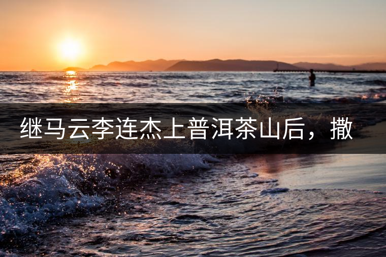 繼馬云李連杰上普洱茶山后，撒貝寧劉愷威也來了