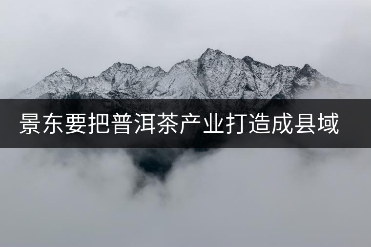 景東要把普洱茶產(chǎn)業(yè)打造成縣域經(jīng)濟的支柱產(chǎn)業(yè)