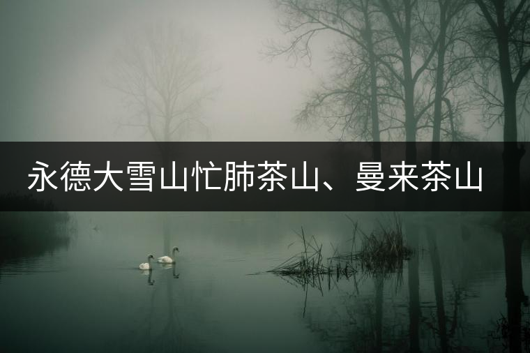 永德大雪山忙肺茶山、曼來(lái)茶山、放牛場(chǎng)茶園的生態(tài)指數(shù)