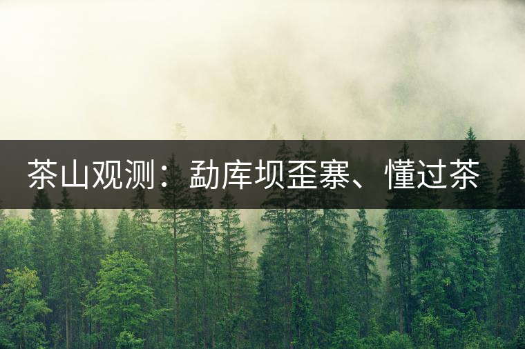 茶山觀測(cè)：勐庫(kù)壩歪寨、懂過茶山、大戶寨等茶山的生態(tài)指數(shù)