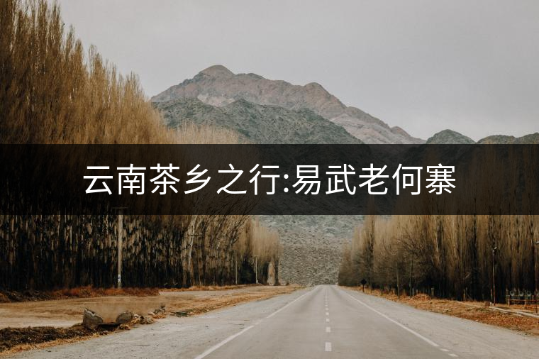 云南茶鄉(xiāng)之行:易武老何寨 云南茶鄉(xiāng)之行:易武老何寨