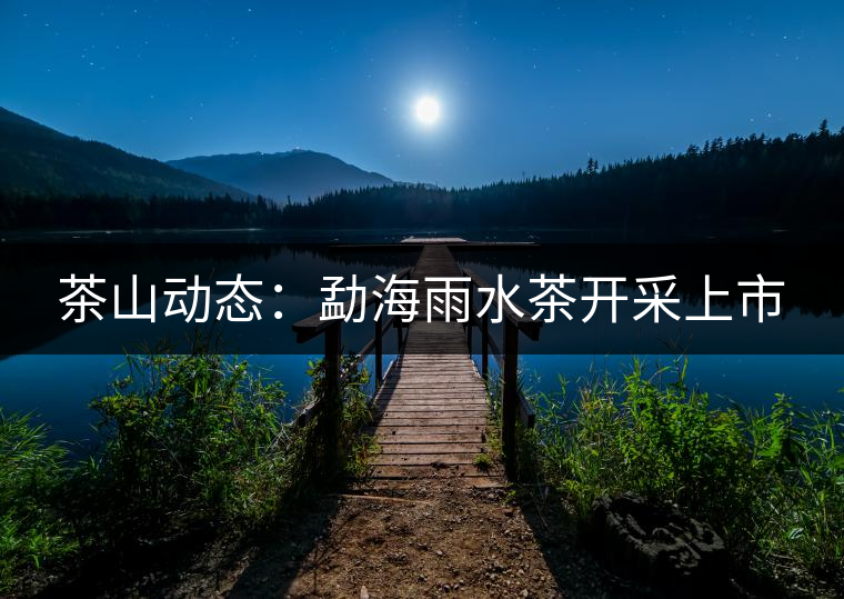 茶山動態(tài)：勐海雨水茶開采上市