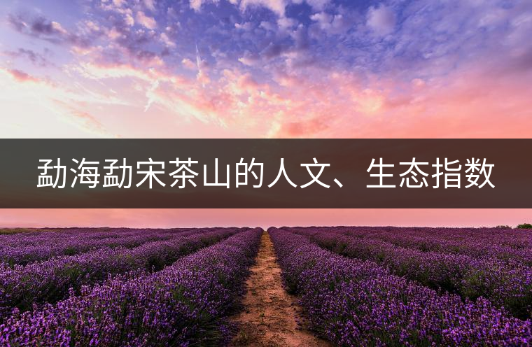 勐海勐宋茶山的人文、生態(tài)指數(shù)