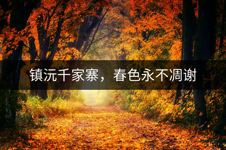 鎮(zhèn)沅千家寨，春色永不凋謝