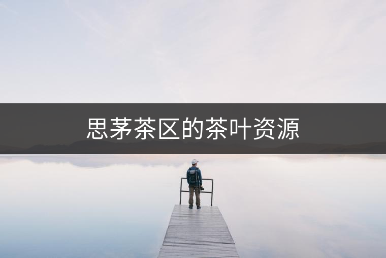 思茅茶區(qū)的茶葉資源 思茅茶區(qū)的茶葉資源