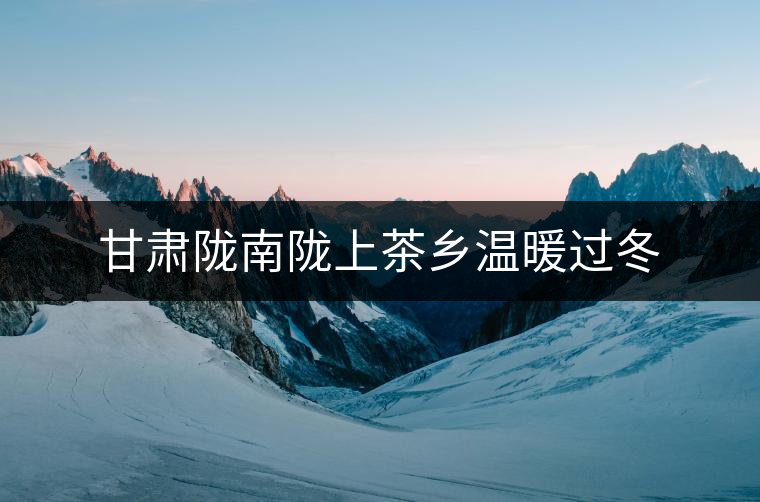 甘肅隴南隴上茶鄉(xiāng)溫暖過(guò)冬 甘肅隴南隴上茶鄉(xiāng)溫暖過(guò)冬