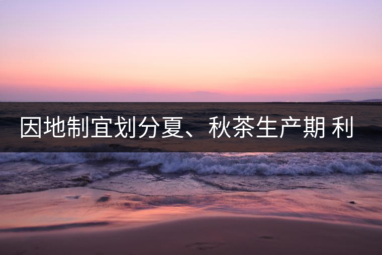 因地制宜劃分夏、秋茶生產(chǎn)期 利于采摘品質(zhì)