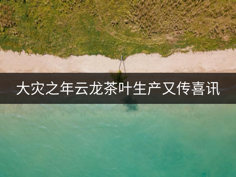 大災之年云龍茶葉生產又傳喜訊