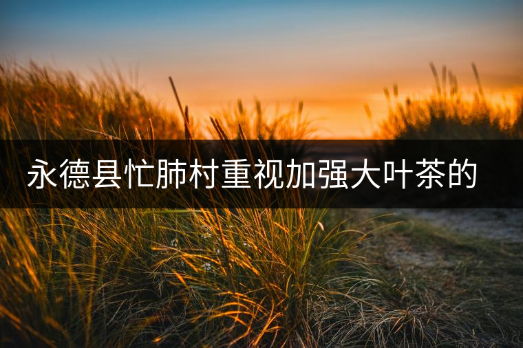 永德縣忙肺村重視加強(qiáng)大葉茶的采摘和無公害管理