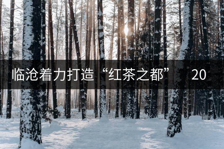 臨滄著力打造“紅茶之都” 2015年茶產(chǎn)業(yè)產(chǎn)值力爭(zhēng)達(dá)到50億元 臨滄著力打造“紅茶之都” 2015年茶產(chǎn)業(yè)產(chǎn)值力爭(zhēng)達(dá)到50億元