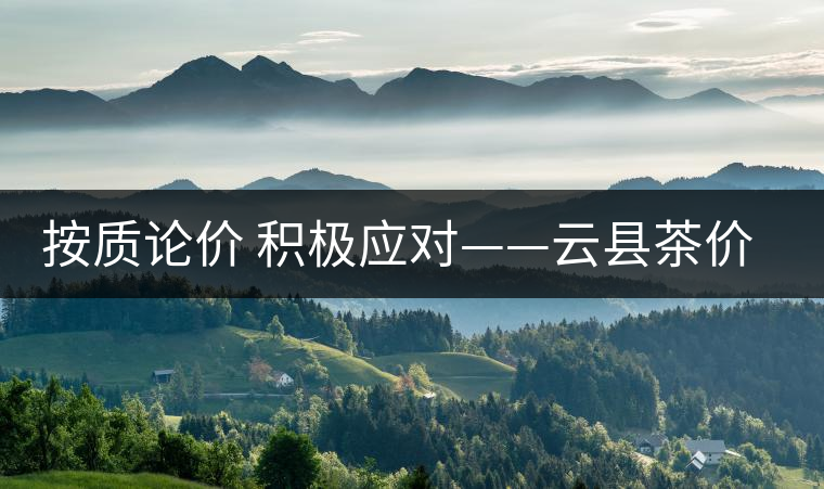 按質(zhì)論價(jià) 積極應(yīng)對(duì)——云縣茶價(jià)實(shí)現(xiàn)理性回歸 按質(zhì)論價(jià) 積極應(yīng)對(duì)——云縣茶價(jià)實(shí)現(xiàn)理性回歸