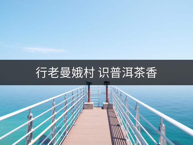 行老曼娥村 識普洱茶香 行老曼娥村 識普洱茶香