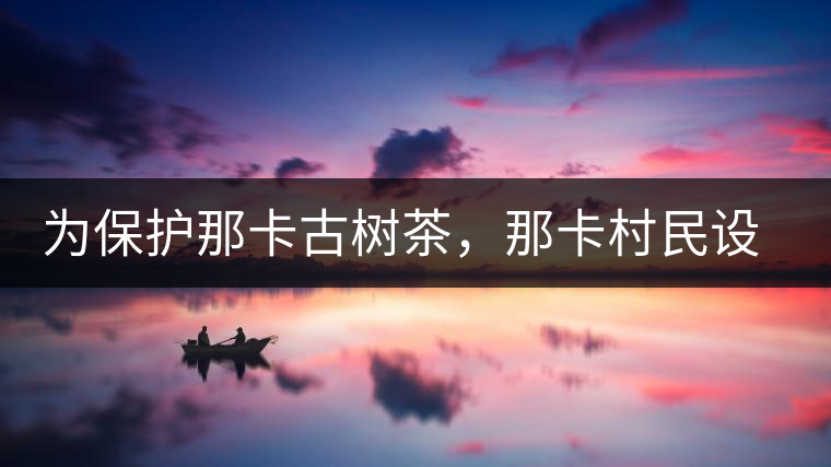 為保護(hù)那卡古樹(shù)茶，那卡村民設(shè)公約牌