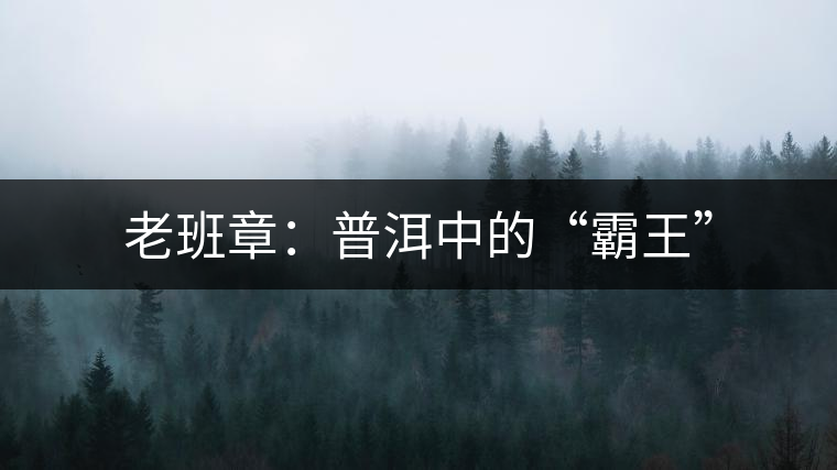 老班章：普洱中的“霸王”