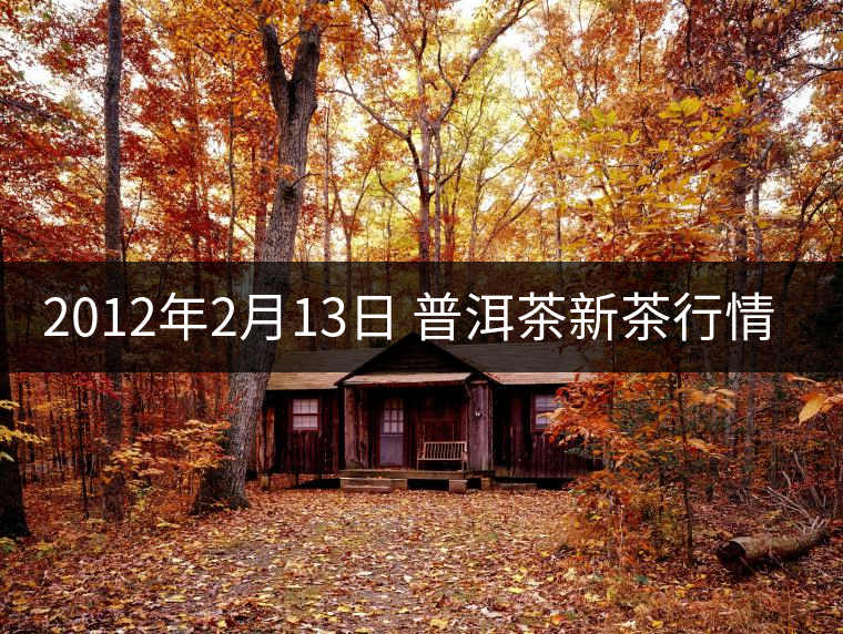 2012年2月13日 普洱茶新茶行情播報
