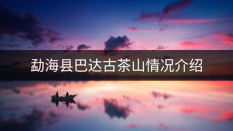 勐?？h巴達(dá)古茶山情況介紹