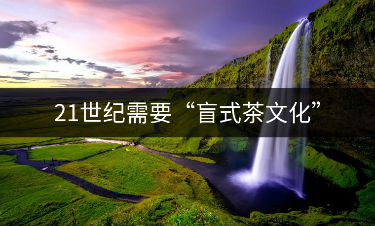 21世紀需要“盲式茶文化”