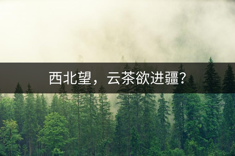 西北望，云茶欲進(jìn)疆？