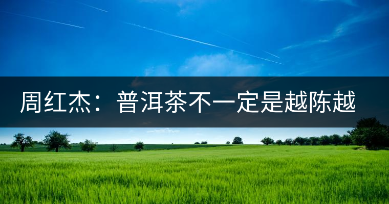 周紅杰：普洱茶不一定是越陳越香、越陳越好