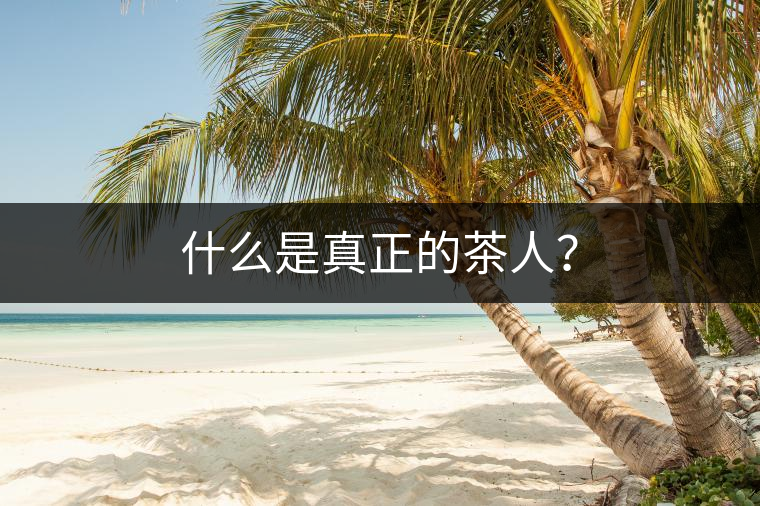 什么是真正的茶人？