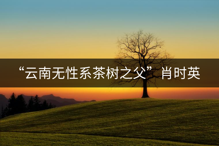 “云南無性系茶樹之父”肖時英—— 為了云茶根深葉茂 “云南無性系茶樹之父”肖時英—— 為了云茶根深葉茂