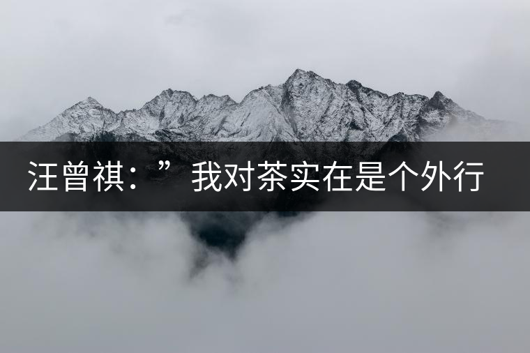汪曾祺：”我對茶實(shí)在是個外行“