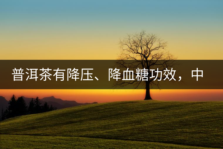普洱茶有降壓、降血糖功效，中老年人不再懼怕糖尿病